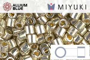 MIYUKI Delica® Seed Beads (DBL1831) 8/0 Round Large - DURACOAT Galvanized Silver