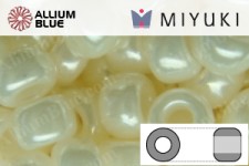 MIYUKI Round Rocailles Seed Beads (RR11-0123A) 11/0 Small - 0123A
