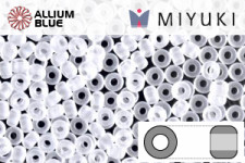MIYUKI Round Seed Beads (RR11-0131F) - Matte Transparent Crystal