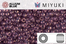 MIYUKI Round Rocailles Seed Beads (RR11-0312) 11/0 Small - Lilac Gold Luster