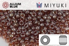 MIYUKI Round Rocailles Seed Beads (RR11-0327) 11/0 Small - 0327