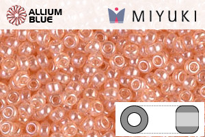 MIYUKI Round Rocailles Seed Beads (RR11-0369) 11/0 Small - 0369