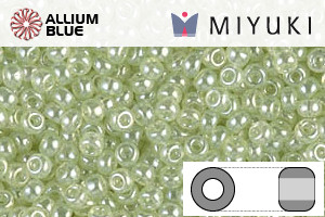 MIYUKI Round Rocailles Seed Beads (RR11-0371) 11/0 Small - 0371