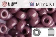 MIYUKI Round Rocailles Seed Beads (RR11-0497) 11/0 Small - 0497