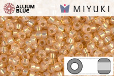 MIYUKI Round Seed Beads (RR11-0552) - Dyed Light Apricot Silver Lined Alabaster
