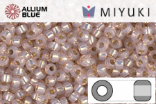 MIYUKI Round Rocailles Seed Beads (RR11-0579) 11/0 Small - Light Pale Rose Silverlined