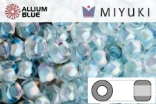 MIYUKI Round Rocailles Seed Beads (RR11-0636) 11/0 Small - 0636