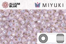 MIYUKI Round Rocailles Seed Beads (RR11-0643) 11/0 Small - Silverlined Dyed Light Pink