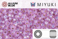 MIYUKI Round Rocailles Seed Beads (RR11-0644) 11/0 Small - Silverlined Dyed Tawny Pink