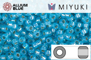 MIYUKI Round Rocailles Seed Beads (RR11-0647) 11/0 Small - 0647