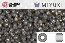 MIYUKI Round Seed Beads (RR11-0650) - Dyed Smoke Gray Silver Lined Alabaster