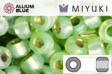 MIYUKI Round Rocailles Seed Beads (RR11-0676) 11/0 Small - 0676