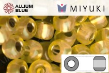 MIYUKI Round Rocailles Seed Beads (RR11-0677) 11/0 Small - 0677