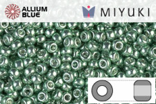 MIYUKI Round Rocailles Seed Beads (RR11-1074) 11/0 Small - Galvanized Dark Mint Green