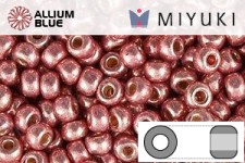 MIYUKI Round Rocailles Seed Beads (RR11-1076) 11/0 Small - Galvanized Dark Coral