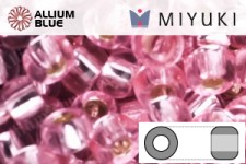 MIYUKI Round Rocailles Seed Beads (RR11-1349) 11/0 Small - 1349
