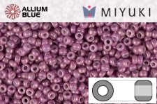 MIYUKI Round Rocailles Seed Beads (RR11-1867) 11/0 Small - Opaque Dark Orchid Luster
