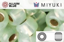 MIYUKI Round Rocailles Seed Beads (RR11-2354) 11/0 Small - Silverlined Light Moss Opal