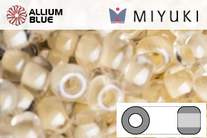 MIYUKI Round Rocailles Seed Beads (RR8-2217) 8/0 Large - 2217