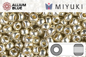 MIYUKI Round Rocailles Seed Beads (RR8-4201) 8/0 Large - Duracoat Galvanized Silver - 關閉視窗 >> 可點擊圖片