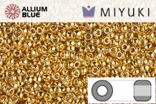 MIYUKI Round Rocailles Seed Beads (RR15-0181) 15/0 Extra Small - Galvanized Silver