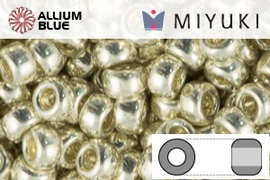 MIYUKI Round Rocailles Seed Beads (RR6-0181) 6/0 Extra Large - Galvanized Silver - Click Image to Close