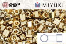 MIYUKI Delica® Seed Beads (DBL0035) 8/0 Round Large - Galvanized Silver