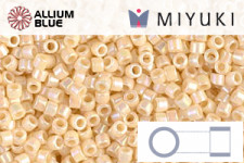 MIYUKI Delica® Seed Beads (DBL1831) 8/0 Round Large - Duracoat Galvanized Silver