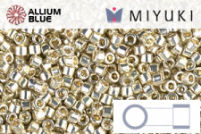 MIYUKI Delica® Seed Beads (DBM0310) 10/0 Round Medium - Matte Black